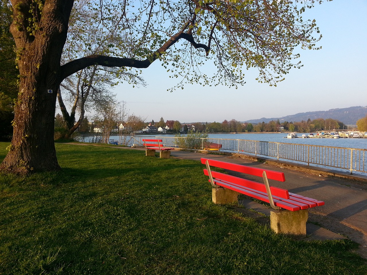 在一系列巧 在一系列巧